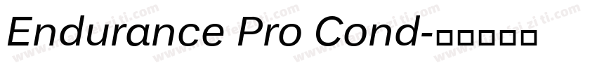 Endurance Pro Cond字体转换